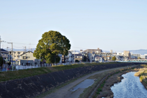 豊中市柴原町三丁目の土地と街のご紹介