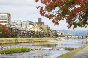 京都市左京区岩倉長谷町の土地情報と快適タウン情報