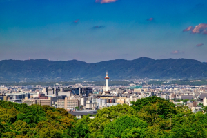 京都市右京区嵯峨水尾岡ノ窪町の土地と生活お役立ち情報