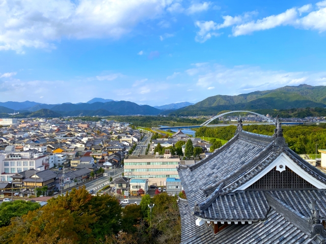 京都市南区吉祥院嶋堤外のメイン画像