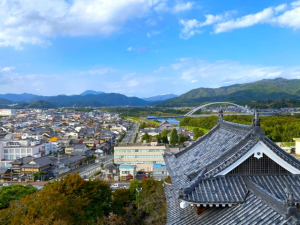 京都市南区吉祥院嶋堤外の土地情報と快適タウン情報