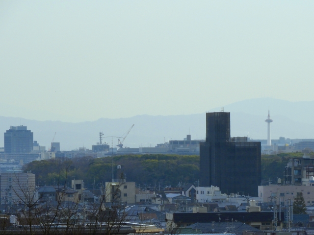 京都市左京区一乗寺黒目ケ谷のメイン画像