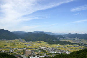 京都市右京区常盤森町の土地最新販売事例と街のご紹介