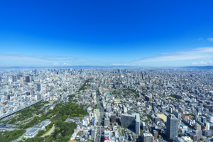 羽曳野市南恵我之荘八丁目の最新土地相場情報とタウン情報
