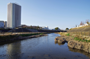 八尾市旭ヶ丘二丁目の土地情報と生活情報