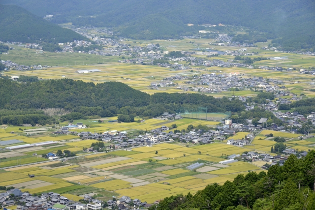与謝郡与謝野町字岩滝のメイン画像