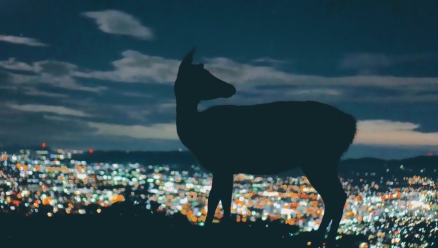生駒郡斑鳩町法隆寺北一丁目のメイン画像