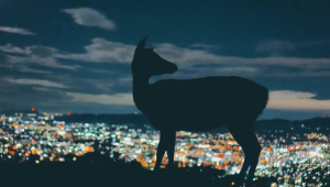 生駒郡斑鳩町法隆寺北一丁目の土地と暮らしお役立ち情報