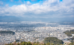 八幡市上津屋尼ケ池の土地情報と生活情報